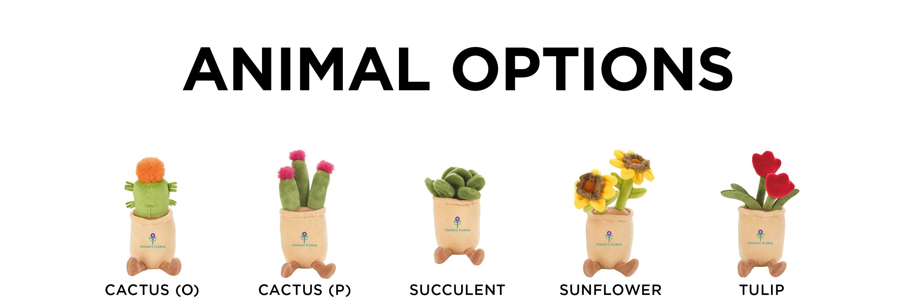 Animal Options