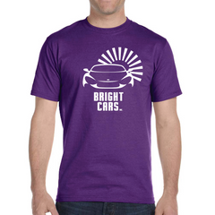 ACTS56-1 - Purple