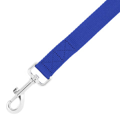 DLP-1 - R Blue