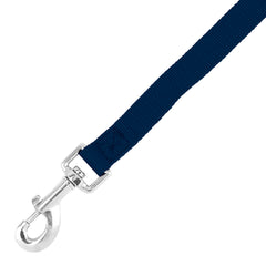 DLP-34 - D Blue