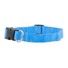 FP-COL-1 - P Blue