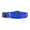 FP-COL-1 - R Blue