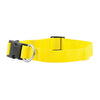 FP-COL-1 - Yellow