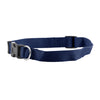 FP-COL-34 - D Blue