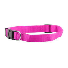 FP-COL-34 - Fuchsia