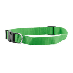 FP-COL-34 - K Green