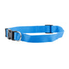 FP-COL-34 - P Blue