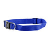 FP-COL-34 - R Blue