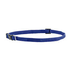 FP-COL-38 - N Blue