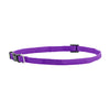 FP-COL-38 - Purple