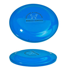 IDP-TFD-2
