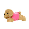 PLUSH26 - G Lab