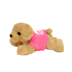 PLUSH26 - G Lab