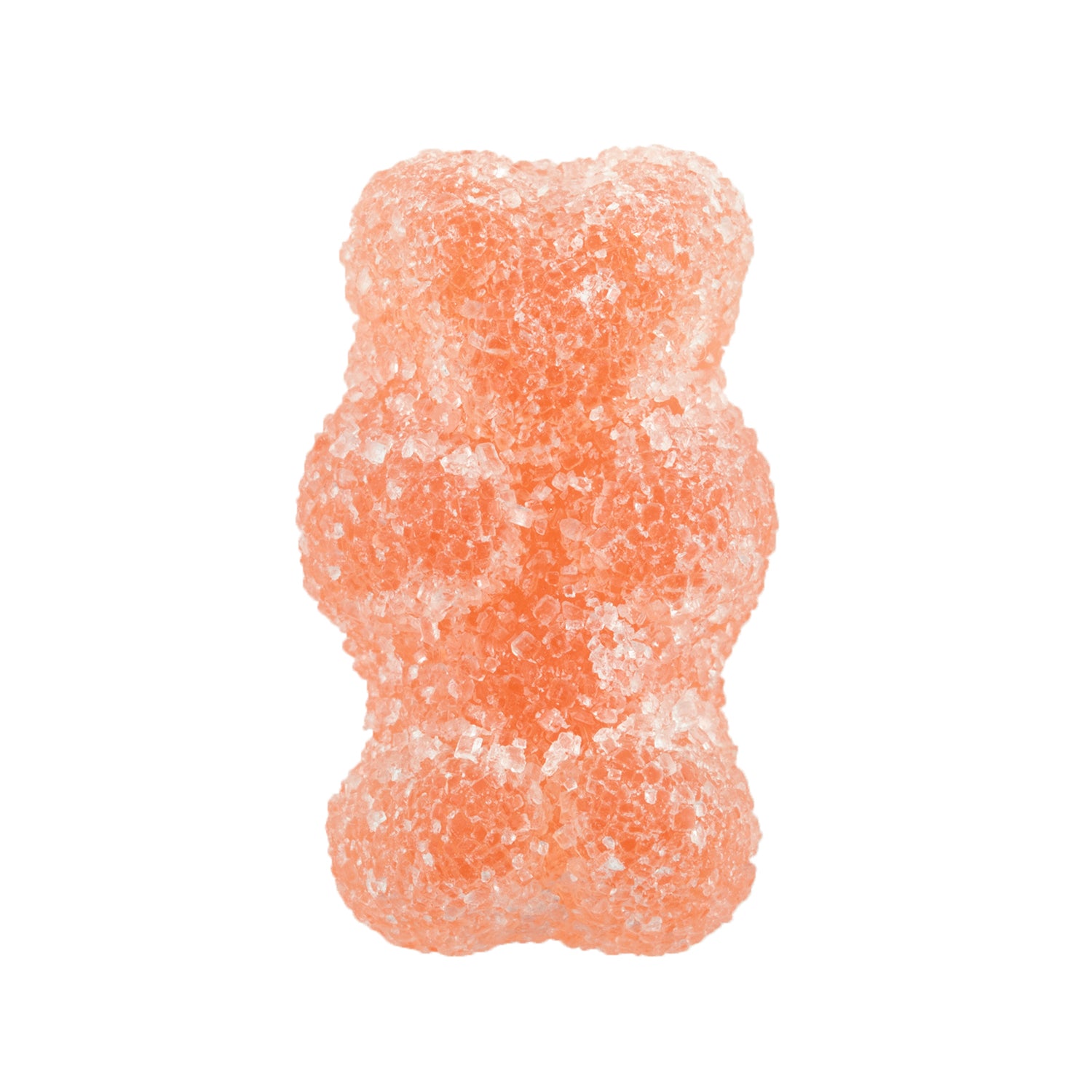 Prosecco Bears
